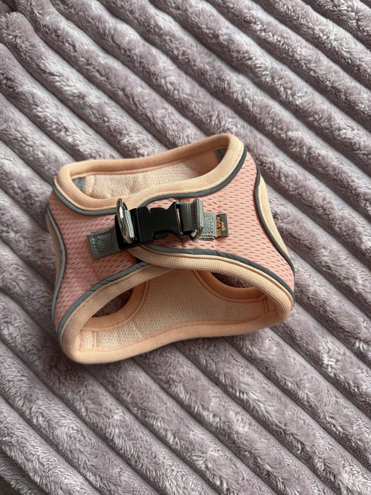 Дрешки за малки породи кученца