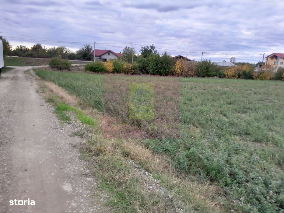 Cosereni (Il) - Se Vinde Teren 2000 Mp La Sos Bucuresti -Urziceni