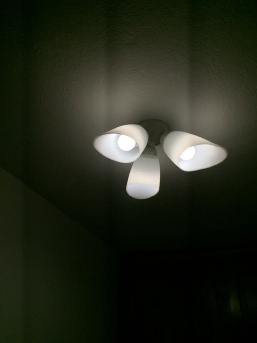 Полилей, тройка, използван само три месеца