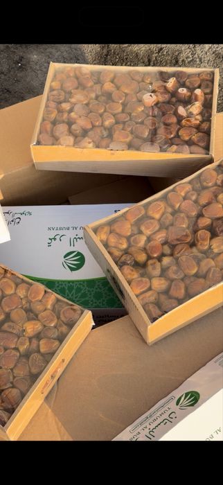 Финики не дорого, рамадан