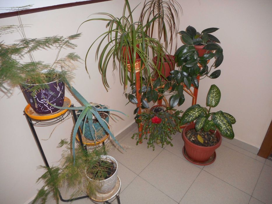 Nikon Coolpix S3600 20.1 МРх