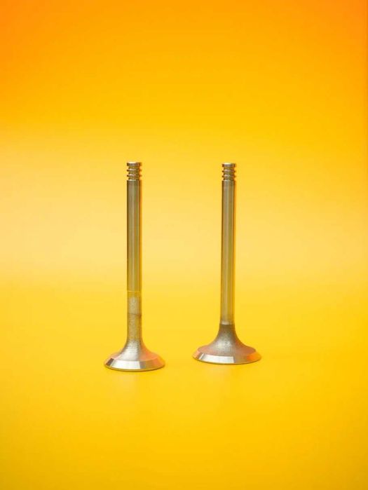 Клапана газ/бензин для Газель