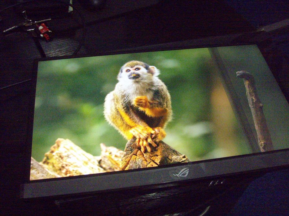 Monitor extern 17.3" FullHD 240Hz Asus ROG Strix XG17 cu probleme