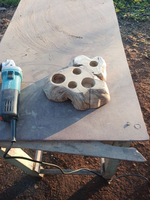 Оливерник от акация