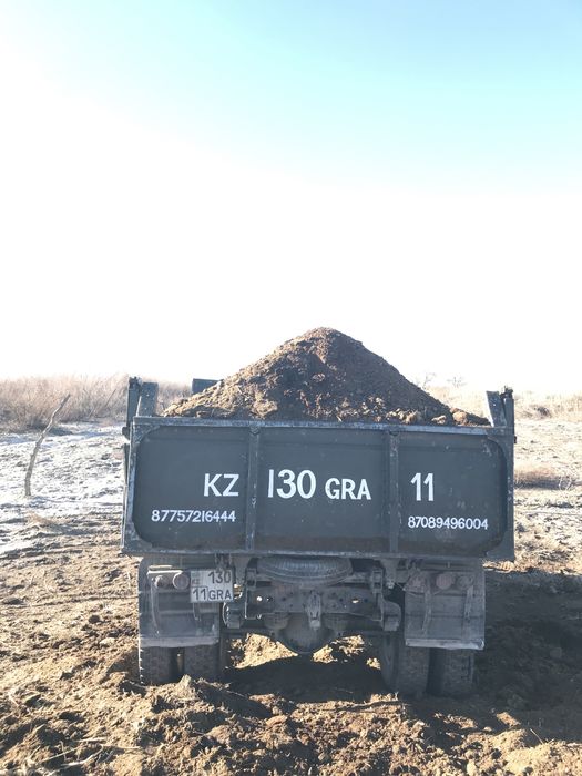 Көң қара шірік (навоз)