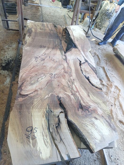 Blaturi mese deosebite