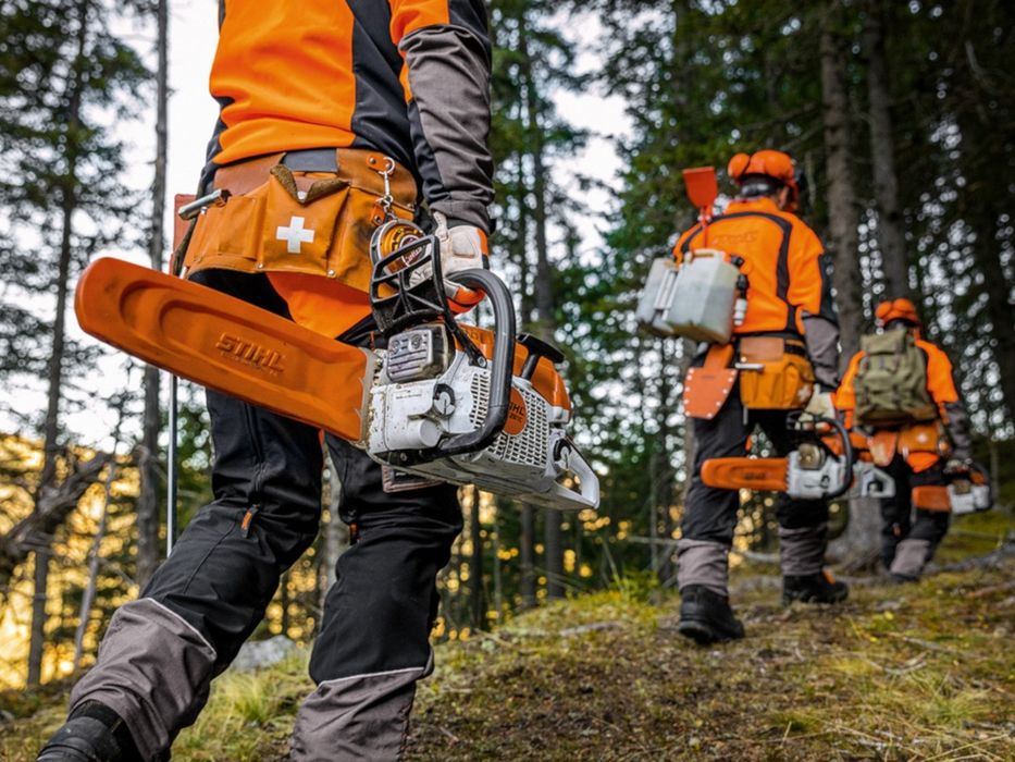 Yer xaydash dарахт кесиш