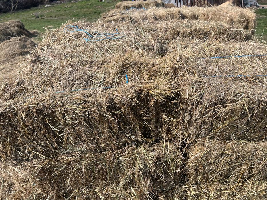 Бали сено с. Фролош