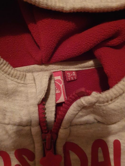 Рокли, блузи, суичер, пухен елек, ски панталон, шапка, шал  2-4 г.