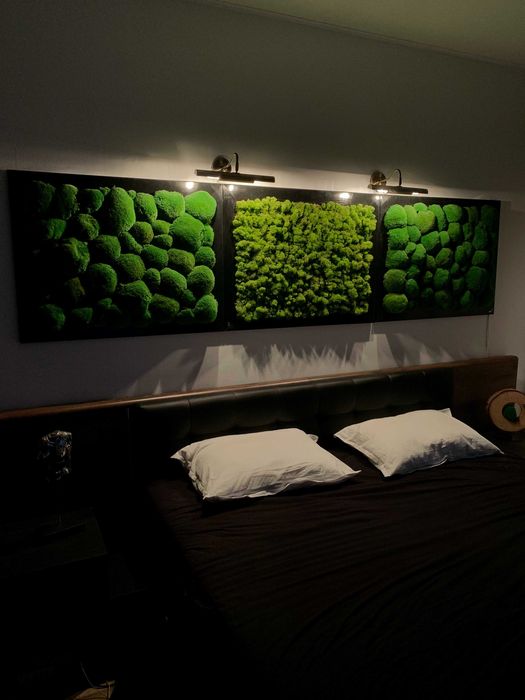 Designuri cu Licheni si muschi decorativi la comanda