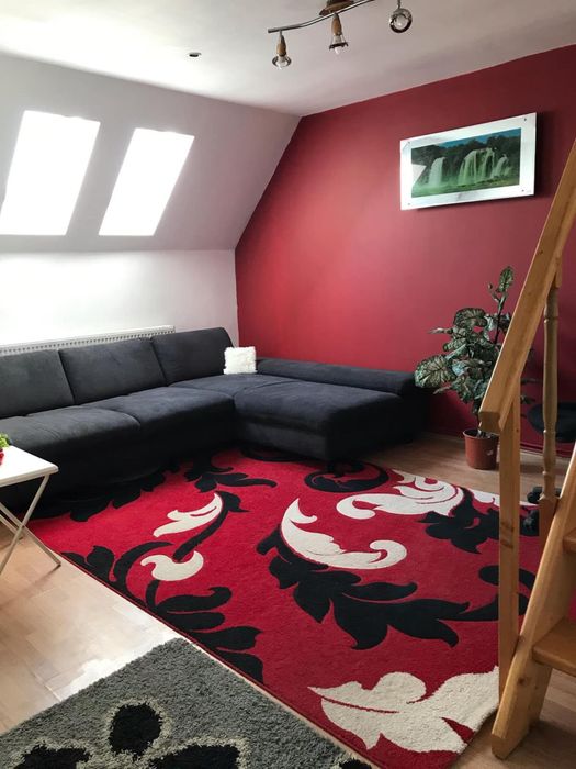 Apartament de inchiriat zona Nufarul 1500 lei