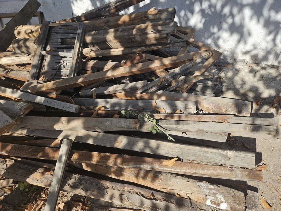 Дрова много, пеньки