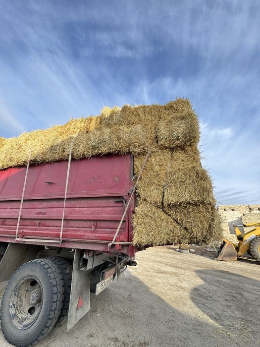 Таза,құрғақ салом ,навоз сатылады.