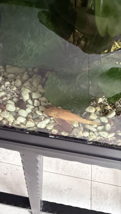 Оборудван аквариум 160л