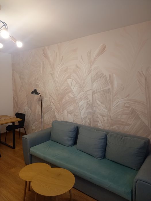 Montaj tapet și fototapet