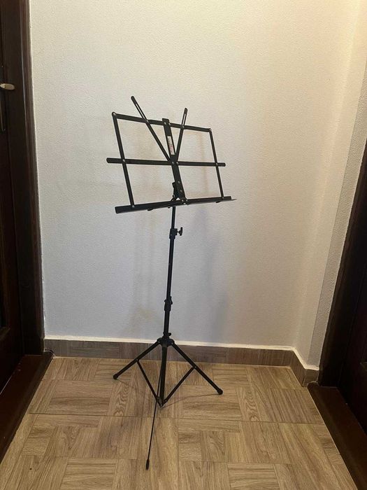 instrumente muzicale