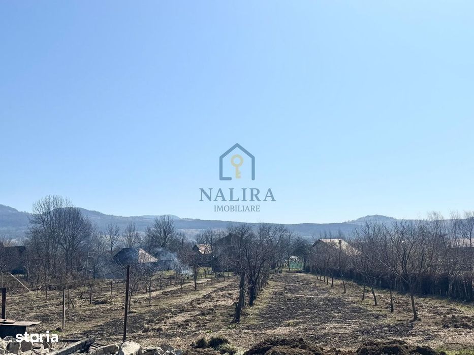 Casa de caramida de vanzare Surdesti cu teren intravilan 5000mp