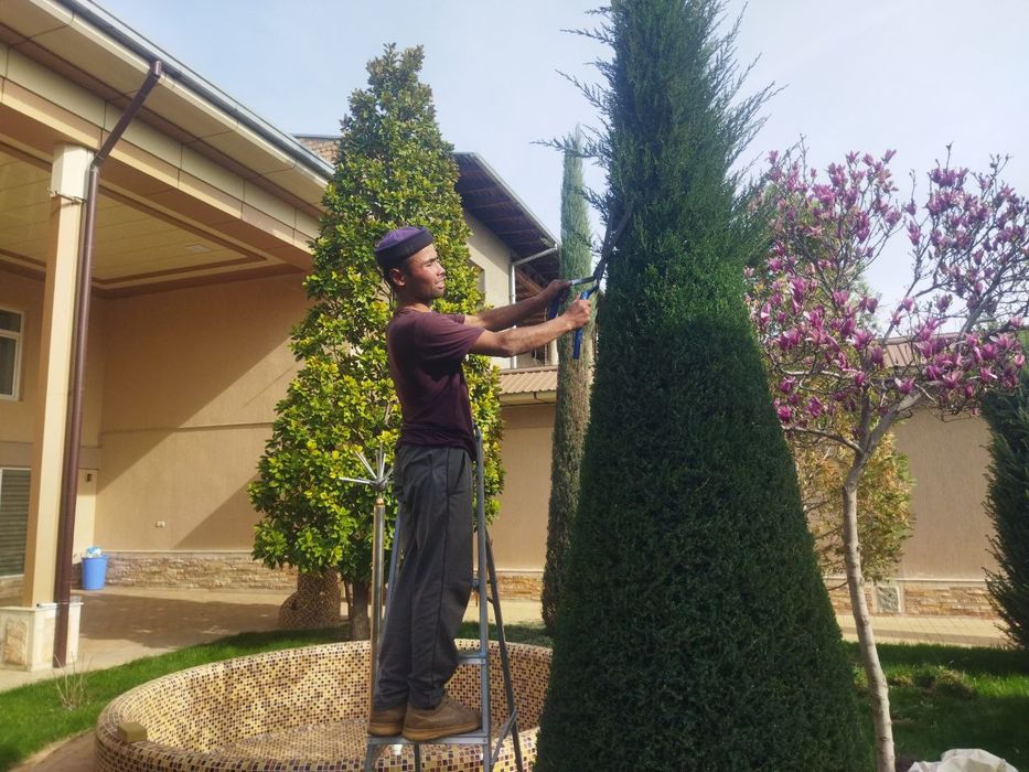 Archa kesish Archalarga shakil berish va Dorillash