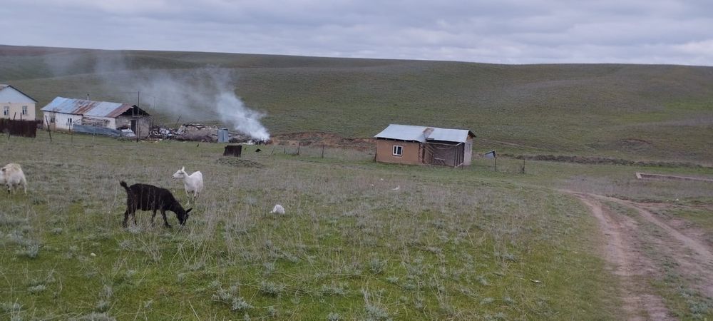 Дом в дачи шамалган