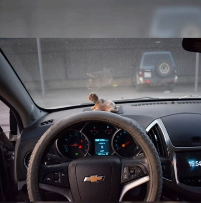 Продаю автомобиль