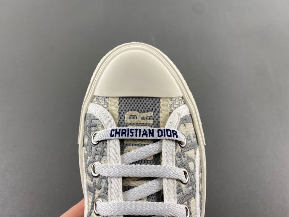 Dior Walk’N’Dior Oblique Canvas