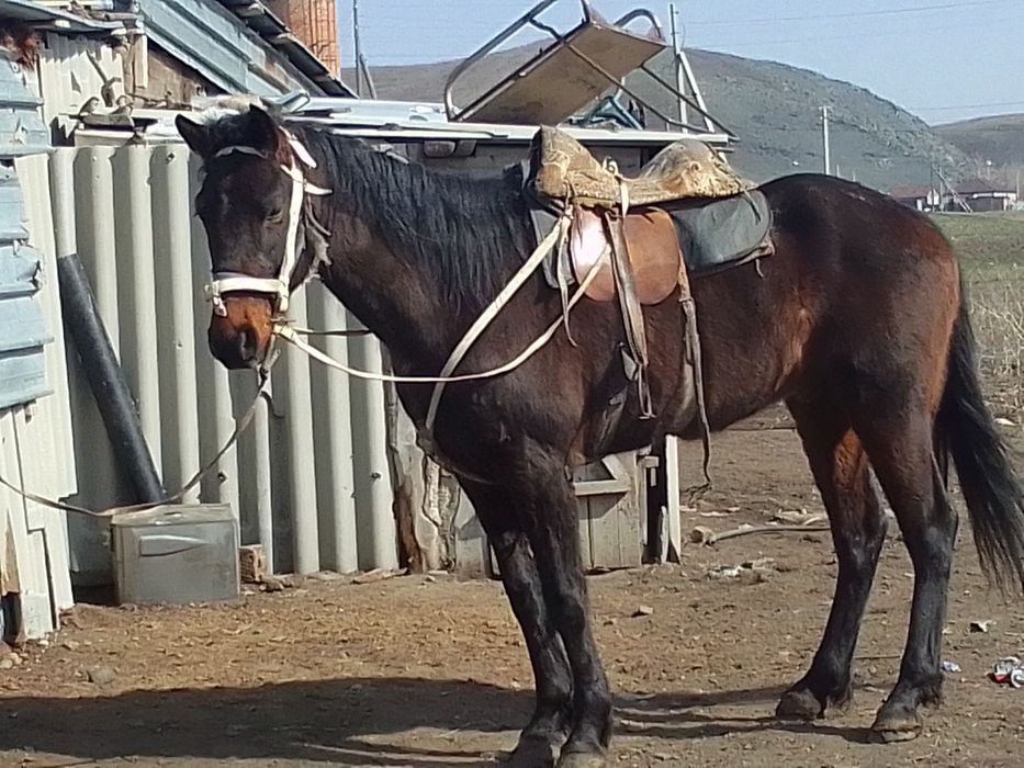 Усть-Каменогорск