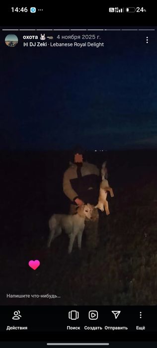 Продам тазы сука