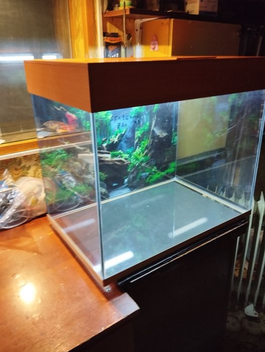 Аквариум на 75 литров