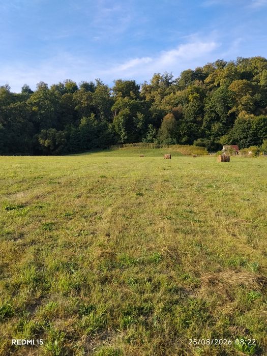 Teren Intravilant de vanzare .Arcalia