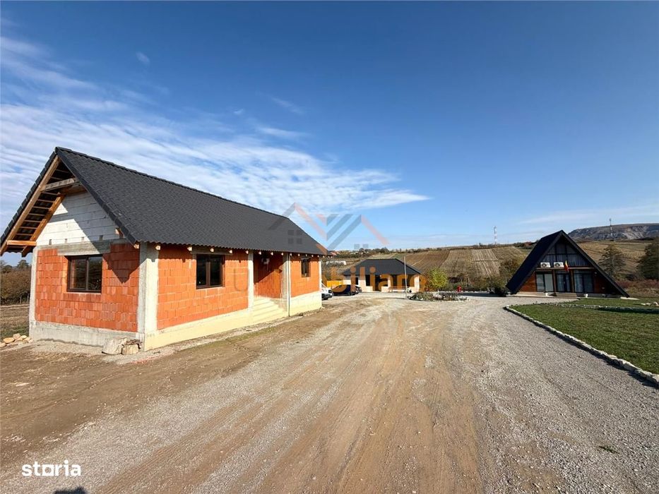Complex De Case Cu Teren 9.587 Mp | Localitatea Hotar | Bihor
