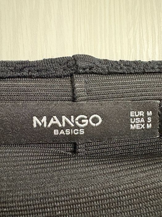 Fusta elastica conica Mango