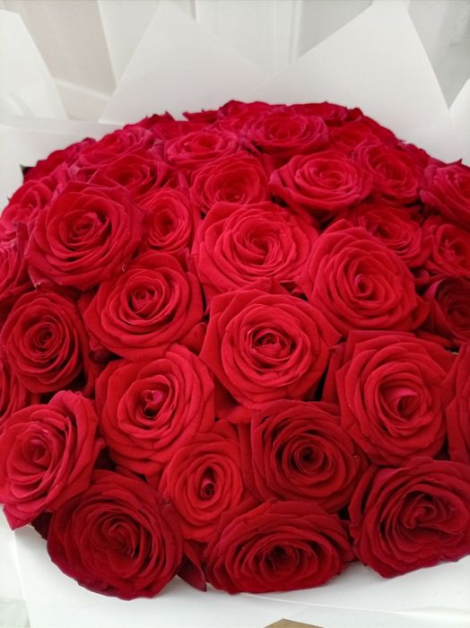 Продам цветы розы