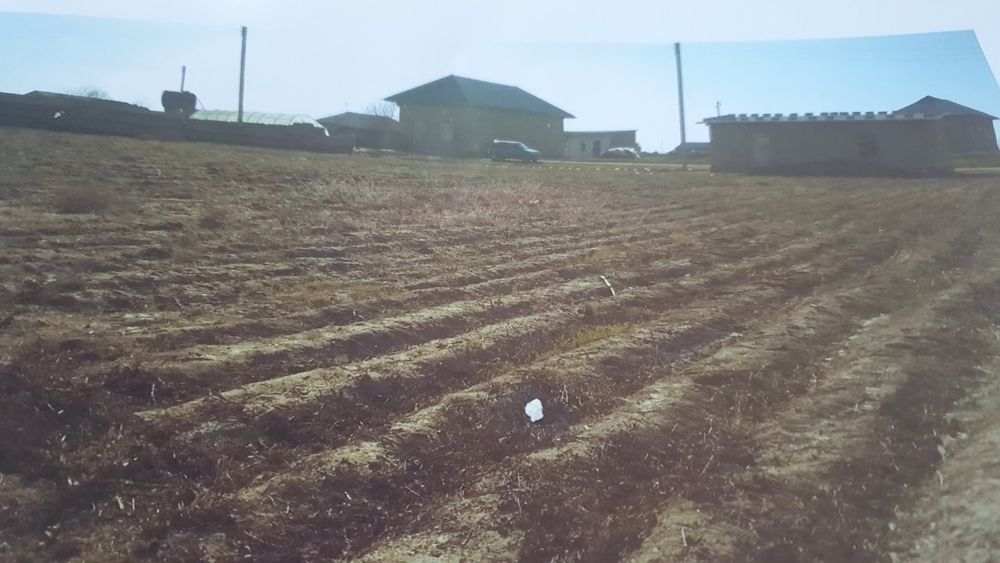 Qaraburugʻ qishlogʻida 20 sotih hovli sotiladi