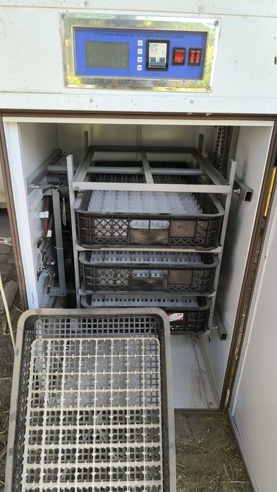 Inkubator sotiladi 385 talik