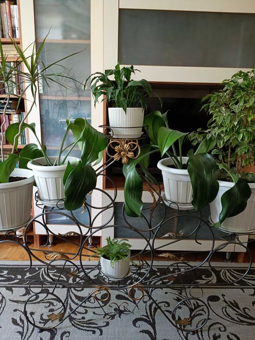 Полка для цветов,кованая