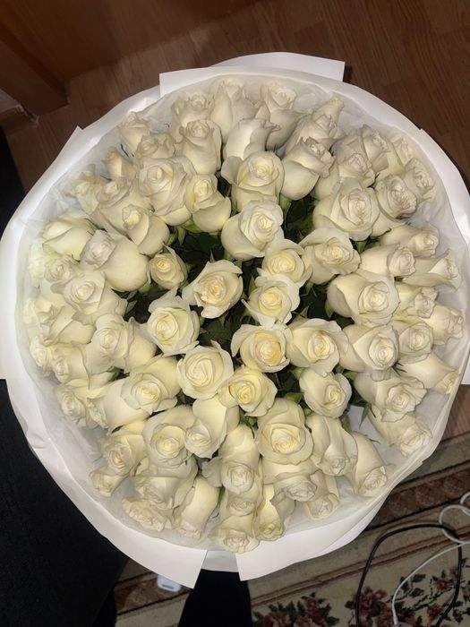 роза цветы 51 шт