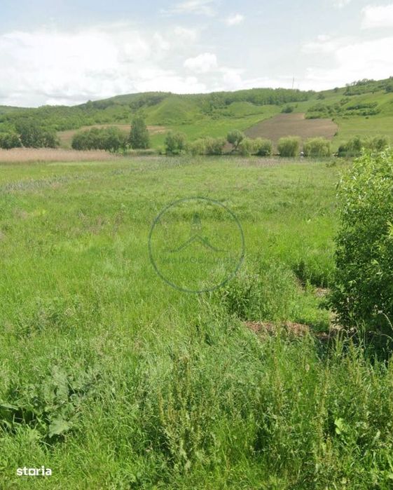 Teren extravilan de vanzare – Brateni acces la Lac