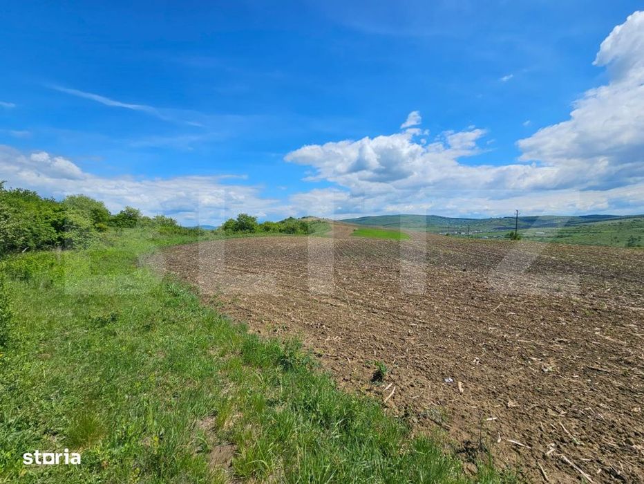 Teren Agricol, 5.800 mp, in Blajenii de Jos