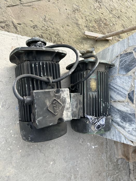 Mator juda yaxshi aktiv holatda