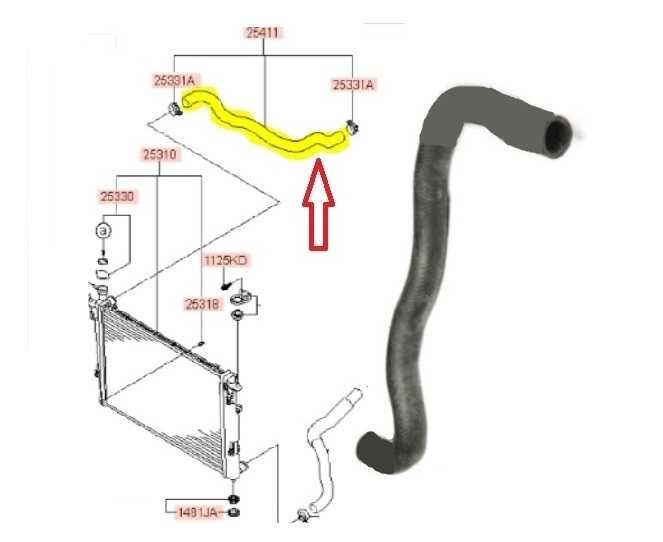 Патрубок радиатора Шланг Трубка Расширительный бачок Hyundai Kia