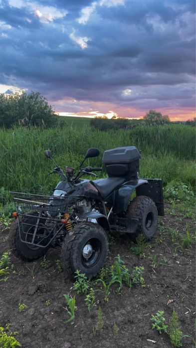 Disponibil atv 250