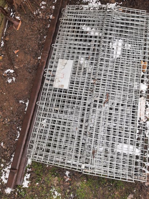 Zanglamas Qafas juda baquvvat