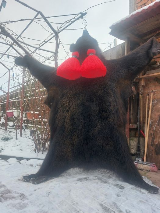 Piele de urs...blana de urs