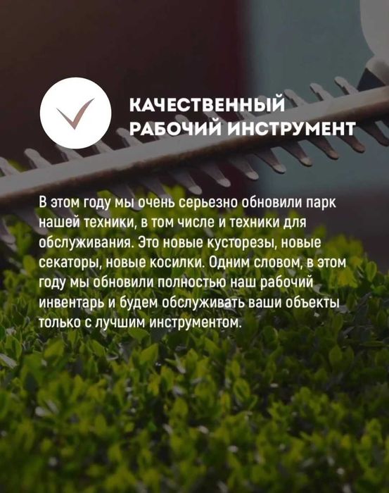 Газон. Хвойные. Комплексный уход.  Устройство газона.
