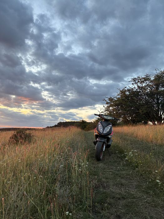 Scuter motowell