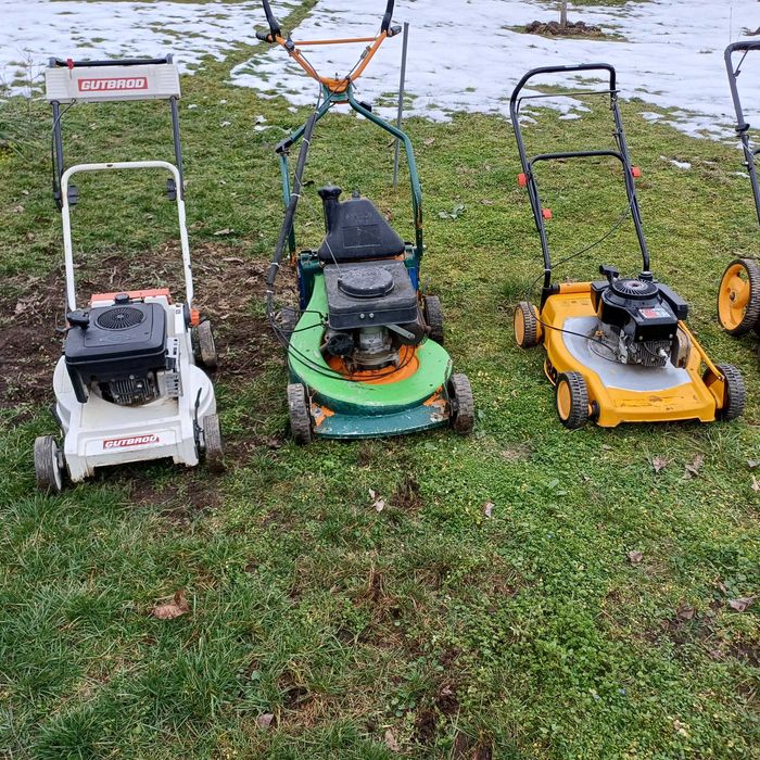 Косачки вносГермания