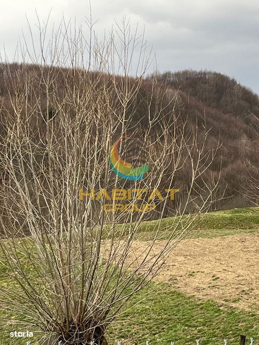 Teren intravilan cu apa/curent 5€/mp Corbeni-Arges