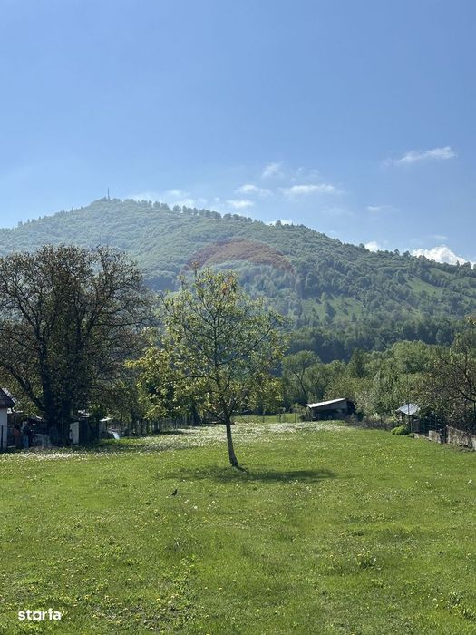 Teren Pangarati / DN Pangarati