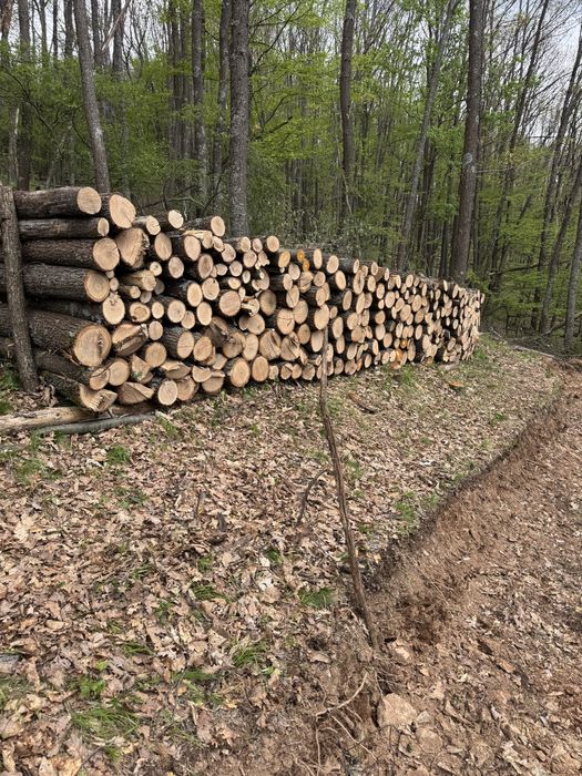 Дърва за огрев София! Дъб Бук Габър