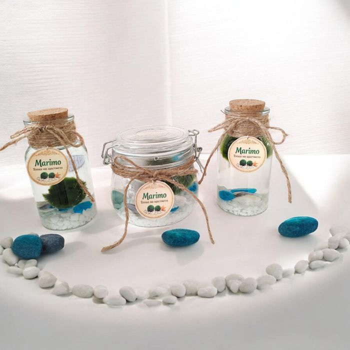 Marimo Топче на щастието